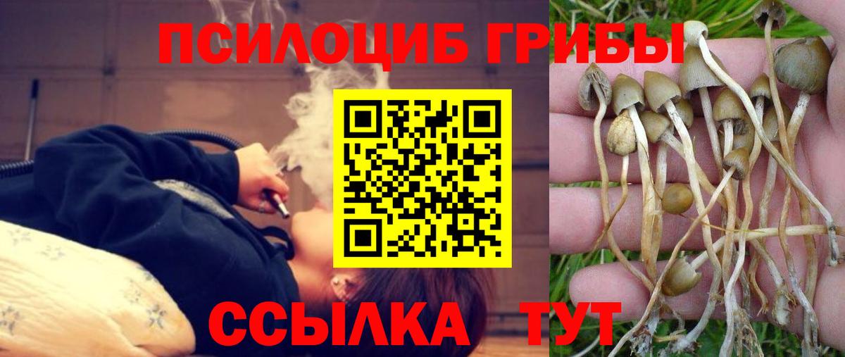 Псилоцибиновые грибы ЛСД  Вход с VPN  Галлюциногенные грибы Cubensis  Тосно 
